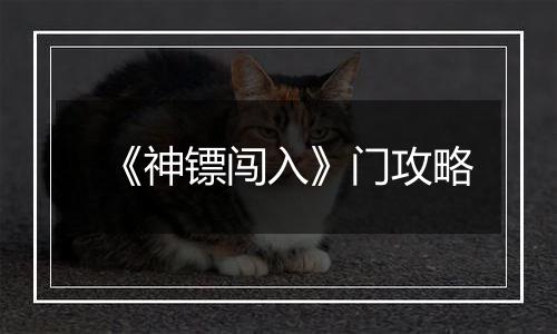 《神镖闯入》门攻略