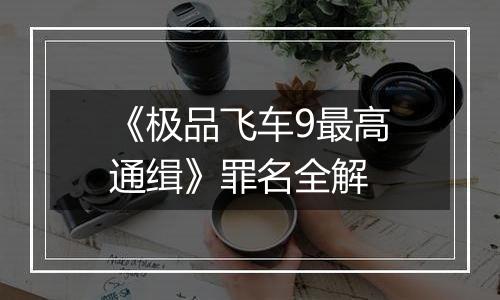 《极品飞车9最高通缉》罪名全解