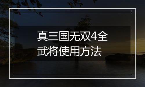 真三国无双4全武将使用方法