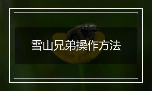 雪山兄弟操作方法