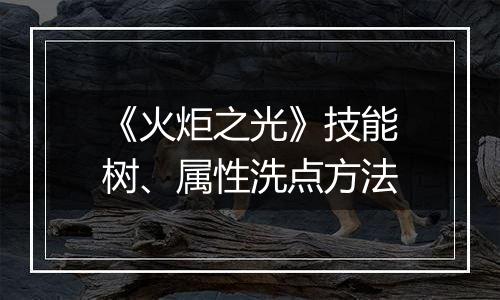 《火炬之光》技能树、属性洗点方法