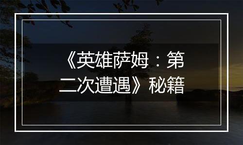 《英雄萨姆：第二次遭遇》秘籍