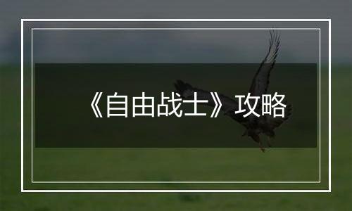 《自由战士》攻略