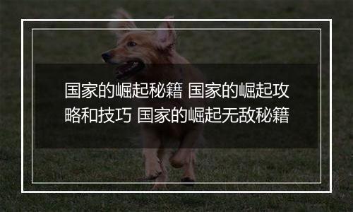 国家的崛起秘籍 国家的崛起攻略和技巧 国家的崛起无敌秘籍