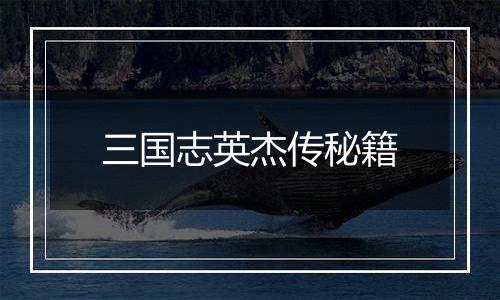 三国志英杰传秘籍