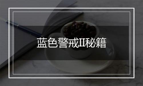 蓝色警戒II秘籍