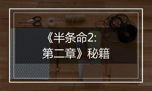 《半条命2:第二章》秘籍