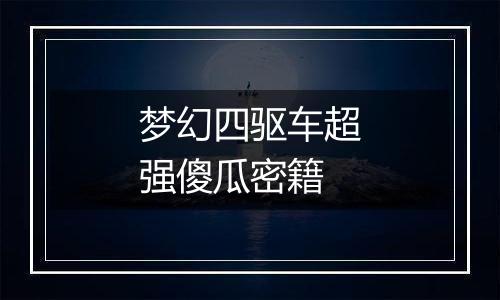 梦幻四驱车超强傻瓜密籍