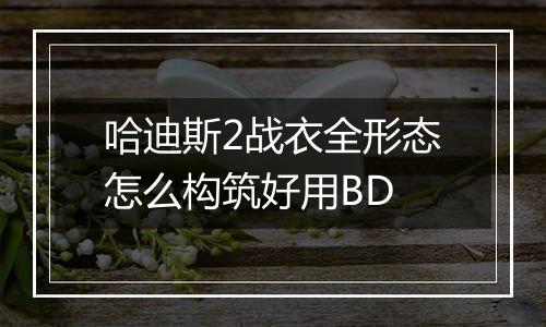 哈迪斯2战衣全形态怎么构筑好用BD