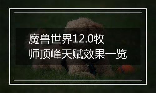 魔兽世界12.0牧师顶峰天赋效果一览