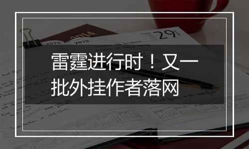 雷霆进行时！又一批外挂作者落网