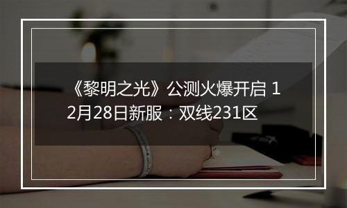 《黎明之光》公测火爆开启 12月28日新服：双线231区