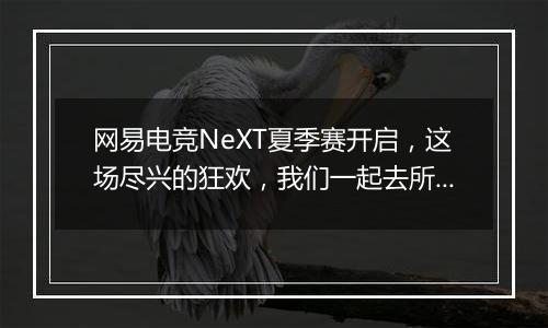 网易电竞NeXT夏季赛开启，这场尽兴的狂欢，我们一起去所向披靡！