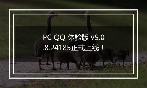 PC QQ 体验版 v9.0.8.24185正式上线！