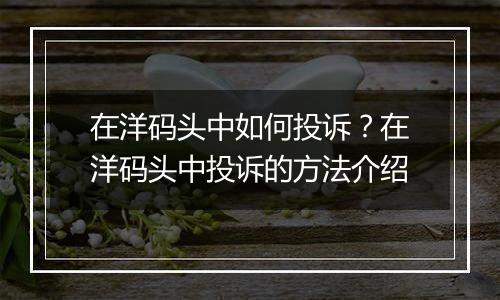 在洋码头中如何投诉？在洋码头中投诉的方法介绍