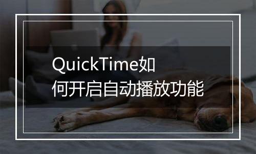 QuickTime如何开启自动播放功能