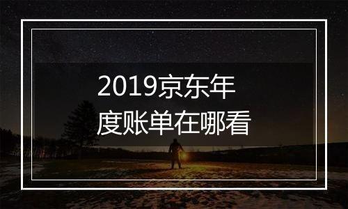 2019京东年度账单在哪看