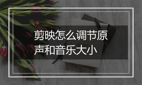 剪映怎么调节原声和音乐大小