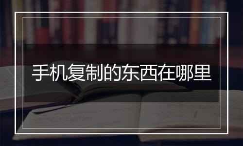 手机复制的东西在哪里