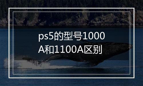 ps5的型号1000A和1100A区别