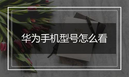 华为手机型号怎么看