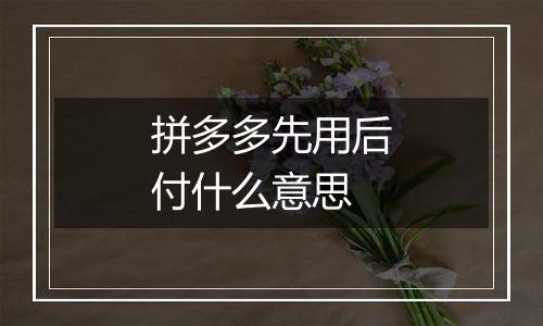 拼多多先用后付什么意思
