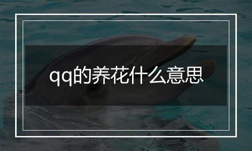 qq的养花什么意思