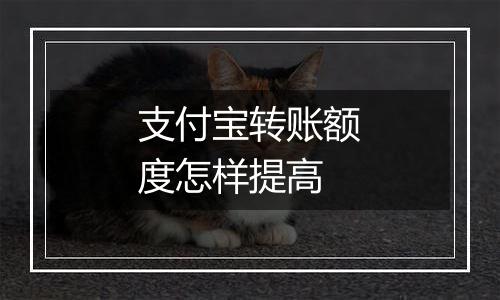 支付宝转账额度怎样提高