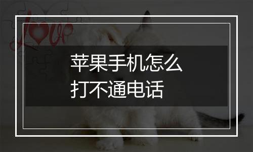 苹果手机怎么打不通电话