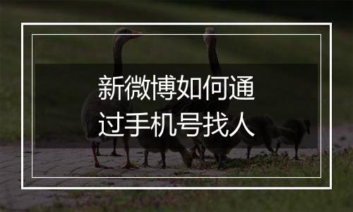 新微博如何通过手机号找人