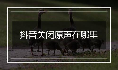 抖音关闭原声在哪里