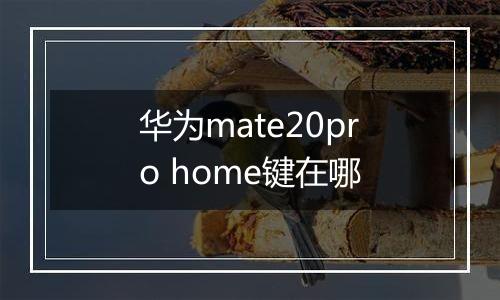 华为mate20pro home键在哪