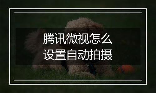 腾讯微视怎么设置自动拍摄