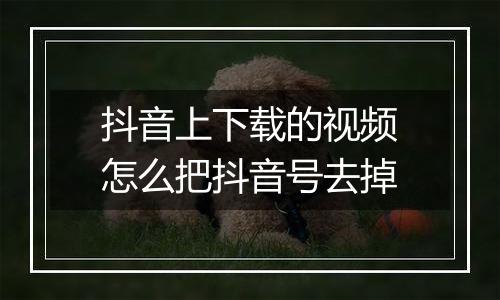 抖音上下载的视频怎么把抖音号去掉