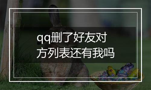 qq删了好友对方列表还有我吗