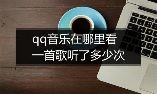 qq音乐在哪里看一首歌听了多少次