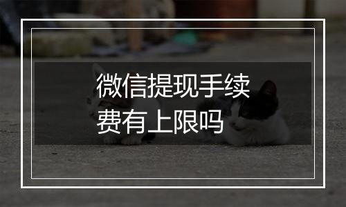 微信提现手续费有上限吗