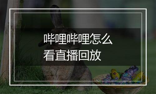 哔哩哔哩怎么看直播回放