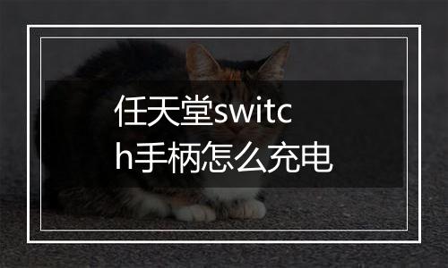 任天堂switch手柄怎么充电