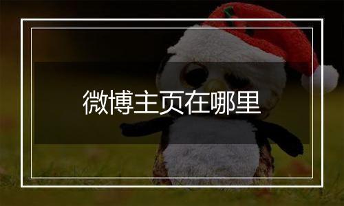 微博主页在哪里