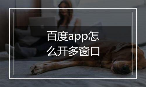 百度app怎么开多窗口