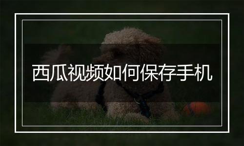 西瓜视频如何保存手机