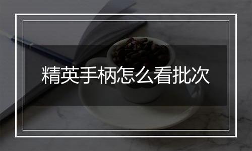 精英手柄怎么看批次