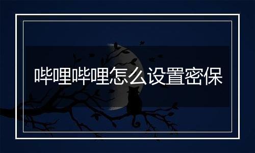 哔哩哔哩怎么设置密保