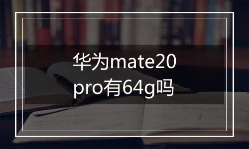 华为mate20pro有64g吗