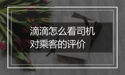 滴滴怎么看司机对乘客的评价