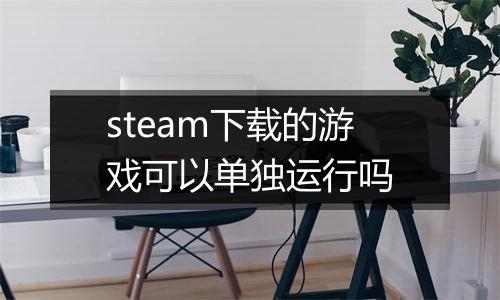 steam下载的游戏可以单独运行吗