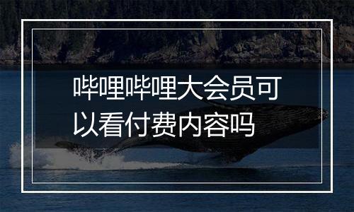 哔哩哔哩大会员可以看付费内容吗