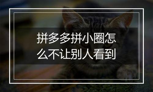 拼多多拼小圈怎么不让别人看到