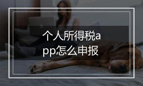 个人所得税app怎么申报
